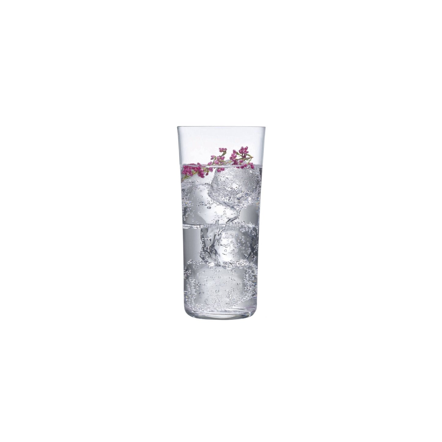Savage Set of 4 High Ball Glasses