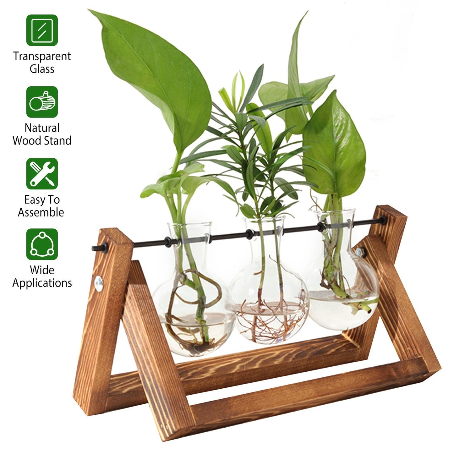 Tabletop Glass Planter Bulb Plant Terrarium with Wooden Stand