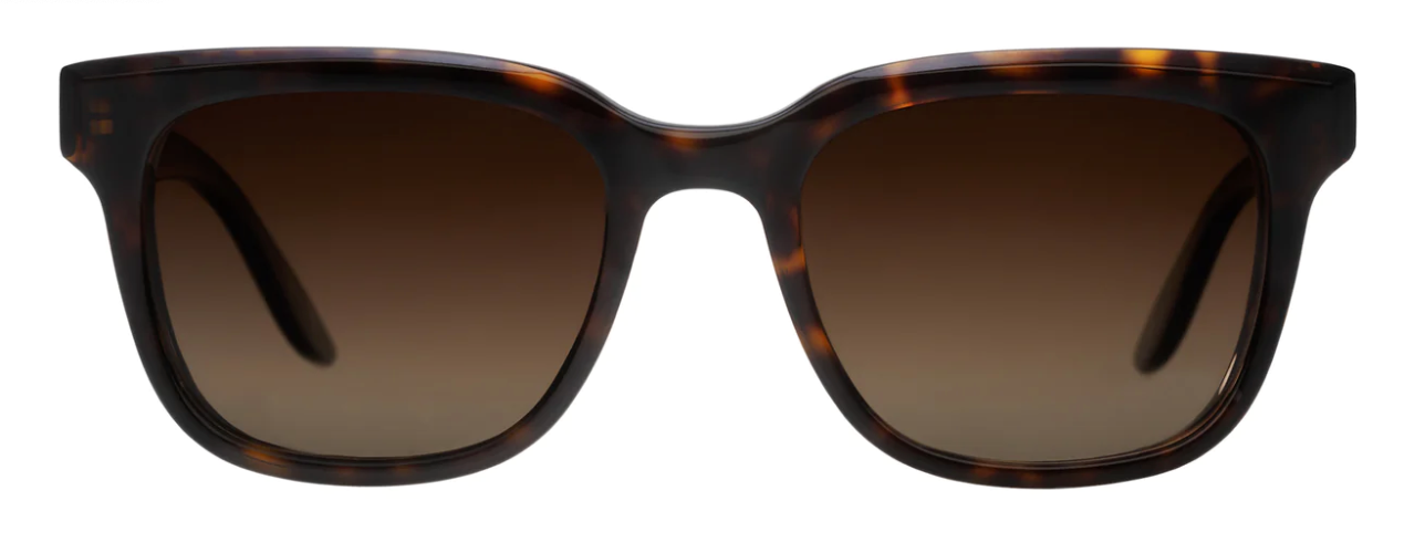 Barton Perreira Chisa