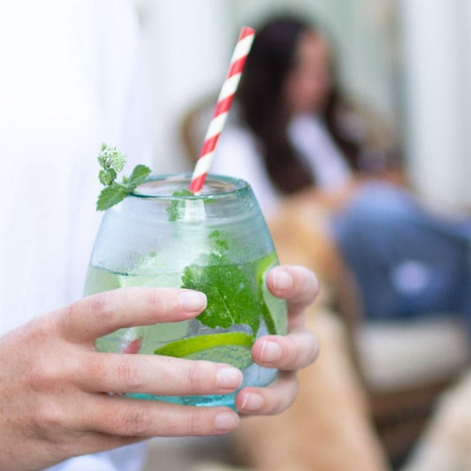 Stemless Wine Glass Clear - Set of 6