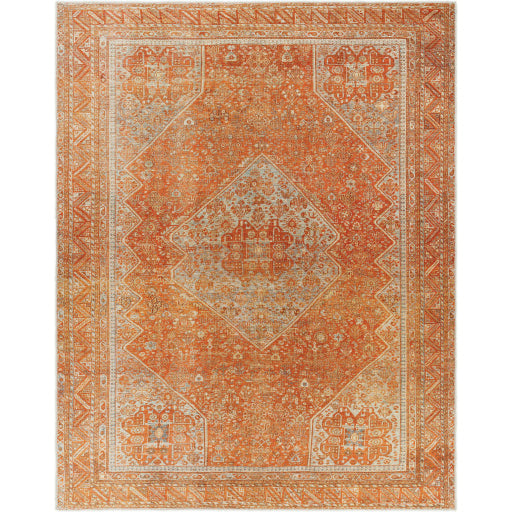 Amelie Rug - AML2351 - Orange/Tan
