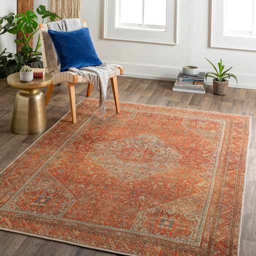 Amelie Rug - AML2351 - Orange/Tan