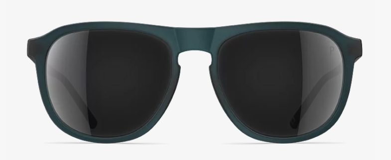 neubau T632 prescription optical sunglasses glasses eyewear dominik natural sustainable eco-friendly plastic acetate made in austria quality durable lightweight bold trendy uv400 uva uvb protection 5100 evergreen polarized grey